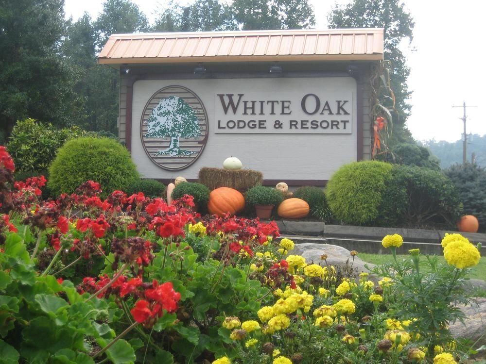 White Oak Lodge And Resort Pittman Center Экстерьер фото